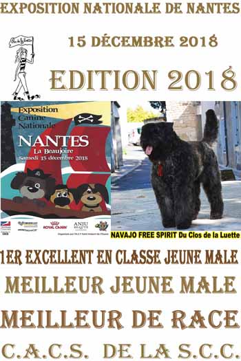 NAVAJO NANTES 2018 MEILLEUR DE RACE